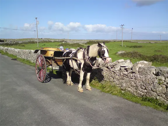 Inis Mor tourist transport Inis Mor tourist transport